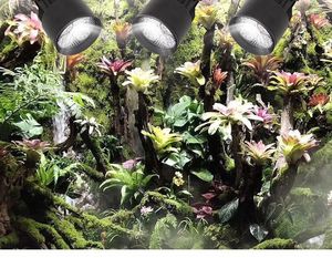 Projecteurs LED pour réservoir d'<span class=keywords><strong>aquarium</strong></span> Rainforest Eco-Friendly Metal Microlandscape Landscaping Colored White Black Light for Amphibious - Product Image 6