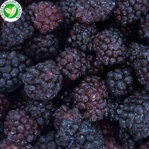 Framboises et mûres <span class=keywords><strong>bio</strong></span> fraîches <span class=keywords><strong>surgelées</strong></span> IQF, fruits <span class=keywords><strong>sauvages</strong></span> entiers non sucrés, <span class=keywords><strong>myrtilles</strong></span> en vrac, vente en gros - Product Image 3