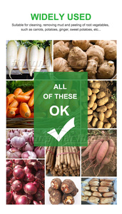Pelado de verduras y lavadora para patatas, zanahorias, yuca, cúrcuma, ñames, jengibre, para materias primas - Product Image 3