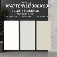 Carrelage Intop Ceramics 300*600mm, surface en micro-ciment texturé moderne, porcelaine mate antidérapante, bordures en brique réfractaire, épaisseur 9mm, garantie 5 ans
