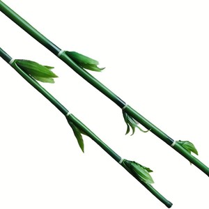 Planta Artificial de Bambú de la Suerte, Flor Decorativa de Interior, Hojas de Alta Simulación, Arreglo en Jarrón de Plástico con Alambre - Product Image 5