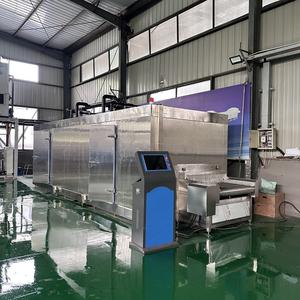 Congelador de túnel para fresas, cerezas, arándanos, mariscos y durian - Product Image 2