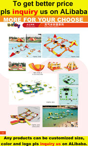 Obstacle de l'eau d'échelle d'escalade gonflable de parc aquatique de flotteur de parcours d'obstacles pour le parc aquatique - Product Image 6