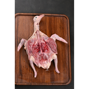 Viande de pigeon surgelée riche en sé<span class=keywords><strong>l</strong></span>énium, emballée sous vide, 300 g, riche en protéines et en nutriments essentiels pour les humains - Product Image 2