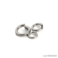 Polished 304 & 316L Stainless Steel Spring Washers with Zinc Din Standard