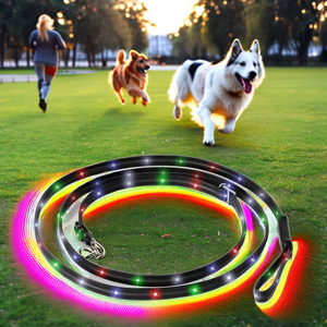 2024最新设计的PATPET环保塑料安全防水闪光灯发光二极管狗皮带 - Product Image 1