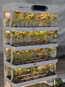 Jardin <span class=keywords><strong>d</strong></span>'<span class=keywords><strong>intérieur</strong></span> hydroponique vertical intelligent-Nouveau système de croissance intelligent pour fruits et légumes - Product Image 2