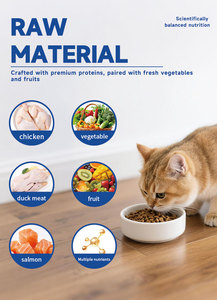 Cibo Secco per Gatti Certificato Non-OGM Senza Additivi per Tutte le Età - Alto Contenuto Proteico al Salmone per Aumento Muscolare e Salute di Pelle e Pelo - Product Image 5