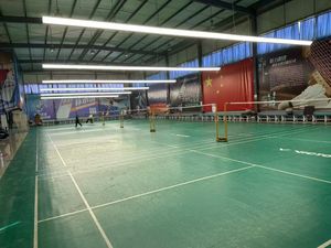 Luces LED Antideslumbrantes de 220V para Canchas de Pickleball, Duraderas, para Interiores y Exteriores, Iluminación Deportiva sin Sombras para Tenis - Product Image 6