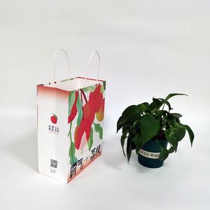 Bolsa de Papel Kraft Blanca con Impresión Completa, Materiales Reciclados, Embalaje para Bebidas, Bolsa para Llevar Comida, Asa Larga, Logotipo OEM, Té - Product Image 2