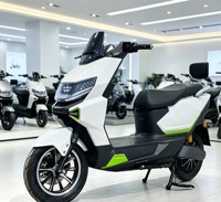 MTBGO 1500W Powerful Electric Scooter Motorcycle Lead Acid Battery Long Distance Riding Custom Electric Bike
