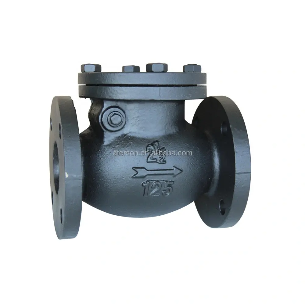 Válvula de retenção de ferro fundido ANSI 125lb tipo sem retorno flange dupla preto