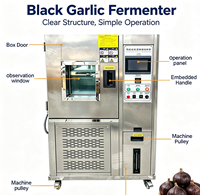 Machine de Fermentation d'Ail Noir à Température Constante avec Bande d'Étanchéité en Caoutchouc Stable pour la Conservation de la Chaleur