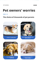 Couches jetables super absorbantes, douces et respirantes pour chiens, protection contre les règles et l'incontinence