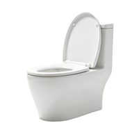 WC intelligent avec chasse automatique, cuvette en porcelaine, télécommande, siège chauffant, installation au sol, siphon P/S, chasse à jet