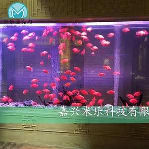 Vente directe d'usine personnalisée Kits d'aquarium d'eau salée de 300 gallons - Product Image 4