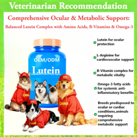 AINA Chiens Chats Soutien Immunitaire Silymarine SAM-e Comprimés Vitamines B Santé Articulaire Sans Céréales Absorption Rapide Sûr 0,5g Toutes Races