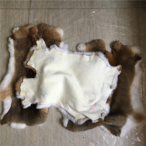 Fourrure de lapin <span class=keywords><strong>chinchilla</strong></span> naturelle, véritable et brute, à vendre à <span class=keywords><strong>prix</strong></span> réduit - Product Image 2