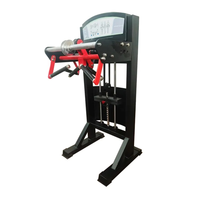 Gym Fitness Equipment Exercices Pin Loaded Exercices Arm Workout Trainer Machine d'avant-bras