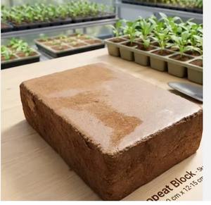 Bloques de Fibra de Coco Orgánica, Sustrato para Orquídeas, Cultivo Hidropónico, Proveedor a Granel - Product Image 4