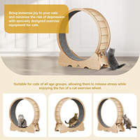 Roue de chat, roue de course d'exercice de grands chats de 43 "L, tapis roulant de chat pour chats d'intérieur