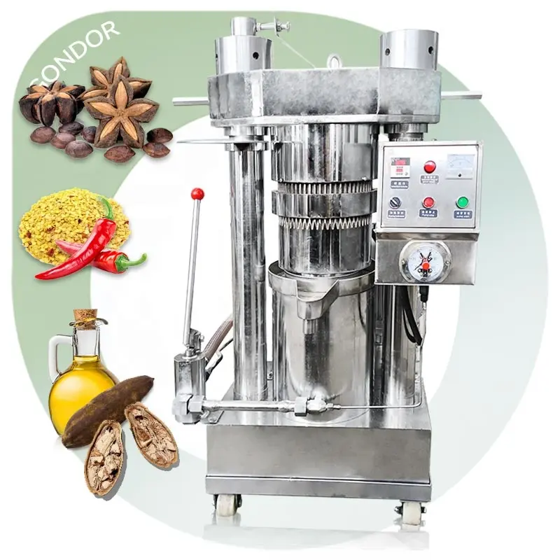 Extrudeuse pour faire des olives Extraction de graines de piment Baobab Extracteur de cuisine Presse à huile Sacha Inchi