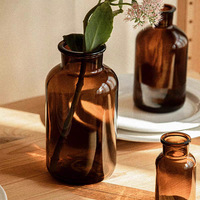 Ensemble de fleurs de décoration de salon de petite bouteille brune nordique, bouteille en verre hydroponique transparente