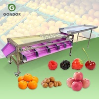 Citroen Sortering Aardbei Sinaasappel Knoflook Guave Granaatappel Klein Formaat Fruit Sorteermachine