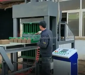 Máquina automática de fabricación de bloques de ladrillo de enclavamiento de suelo de cemento de Kenia hydraform en Vietnam
