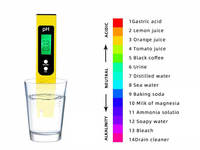 Testeur de pH numérique semi-solide pour aliments, stylo pH-mètre 0-14pH avec fonction température pour la viande, la pâte, les fruits, le fromage, le sol et les échantillons solides