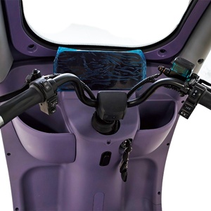 Holladay 650w Passagiers Driewielige Stalen Elektrische Driewieler Vetband 48v Mobiliteits Scooter Fiets Elektrische Driewieler voor Volwassenen - Product Image 2