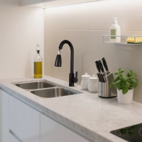 Robinet de cuisine commercial moderne à poignée unique en acier inoxydable finition brossée noire fonction eau chaude froide céramique classique