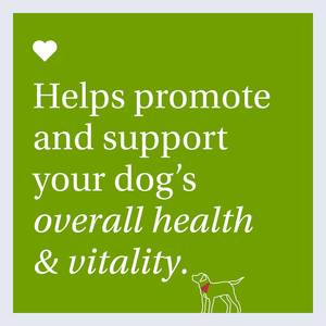 Masticables Multivitamínicos para Perros 22 en 1 OEM/ODM - Suplemento para Mascotas con Vitaminas A, E, <span class=keywords><strong>B12</strong></span> y Antioxidantes para la Salud Inmunológica, de la Piel y las Articulaciones - Product Image 5