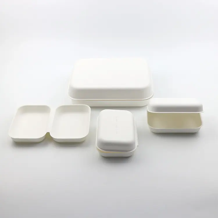 Custom Printing Sugarcane Fiber Bagasse Pulp Molded Packaging Clamshell Box 100% Biodegradable For Cosmetic Electronic