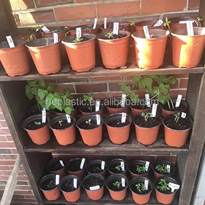 Pot de plantation adapté à la germination des graines, à la culture des <span class=keywords><strong>semis</strong></span>, aux plantes succulentes, <span class=keywords><strong>pots</strong></span> de plantation <span class=keywords><strong>pour</strong></span> <span class=keywords><strong>semis</strong></span> - Product Image 5