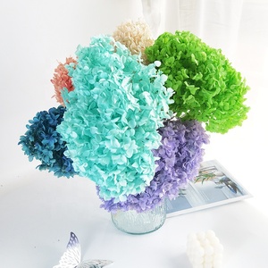 <span class=keywords><strong>Hortensia</strong></span> séchée conservée, <span class=keywords><strong>fleurs</strong></span> volumineuses <span class=keywords><strong>séchées</strong></span> Anna <span class=keywords><strong>hortensia</strong></span>, décorations de mariage, <span class=keywords><strong>hortensia</strong></span> pagode, vente en gros, 2023 - Product Image 1