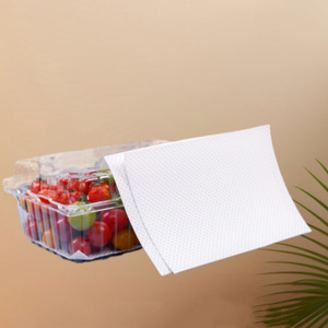 Tapis absorbant jetable pour fruits et viandes, tissu non tissé blanc 100 g/m², usage cuisine - Product Image 1