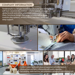 TenderPlayful OEM 6 pièces Jouets d'escalade et blocs en mousse souple Ensemble de jeu d'escalade d'intérieur avec piscine à balles pour tout-petits - Product Image 6