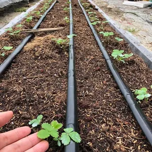 Sistema de irrigação por gotejamento de plástico para agricultores, sistema de irrigação por gotejamento de 1 hectare com efeito de estufa