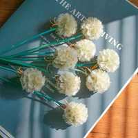 Pods Scabiosa diawetkan besar | Kepala Scabiosa kering untuk tatanan bunga, dekorasi tengah meja pernikahan