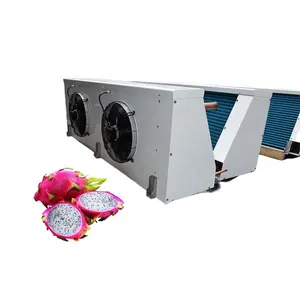 Dragon fruit cold storage keep fresh precooling cooler Anti-corrosion and rapid shrinkage cooler