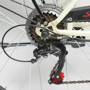 Bicicleta de ocio eléctrica Popular TXED con marco de aleación de pantalla LED 36V 7.8Ah batería de litio bicicleta eléctrica de ciudad para adultos - Product Image 5