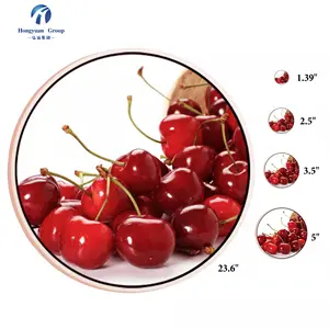 23.6 Inch 848*848 Ronde Lcd-scherm Ronde Lcd Digital Signage Display Voor Reclame Ronde Displays