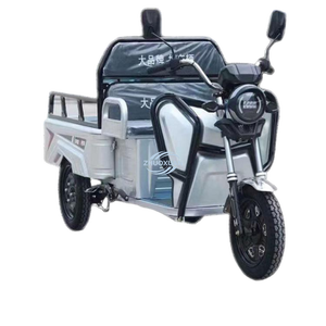 Tricycle électrique de transport flexible à structure légère, capacité de charge maximale de 500 kg - Product Image 4