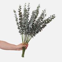 Xiyue 5 Tangkai Daun Eucalyptus Buatan yang Diikat Tangan, Tanaman Plastik Hijau, Bunga Plastik 30-100cm, Dekorasi Dalam Ruangan Ramah Lingkungan