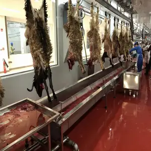 200 Heads Per Day Goat Slaughter Machine Line For Goat Sheep Slaughterhouse