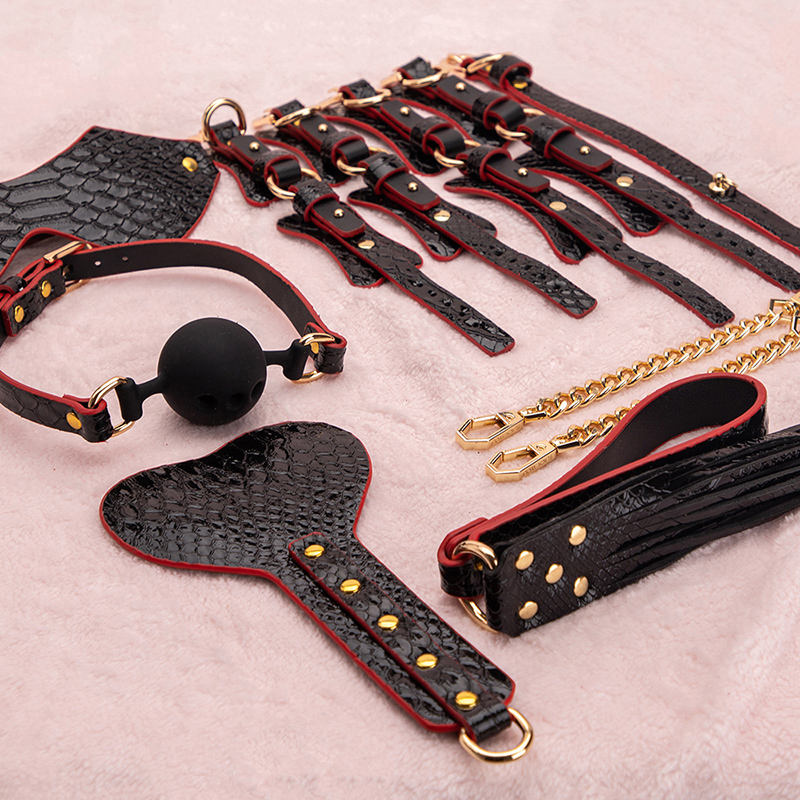Koffer-Sexspielzeug fr Paare  ultimatives BDSM-Bondage-Set