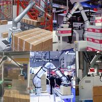 Paletizador Robótico Colaborativo Industrial de 6 Ejes para la Industria Alimentaria y Química, Apilamiento de Bolsas, Cajas y Cartones