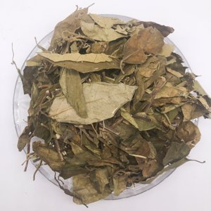 สมุนไพรยิมนาสติกสมุนไพรแห้งแบบ100% - Product Image 1