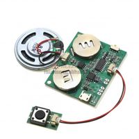 Module sonore enregistrable, puce sonore programmable pour carte de vœux, carte vocale à chargement USB pour jouets, cadeaux créatifs